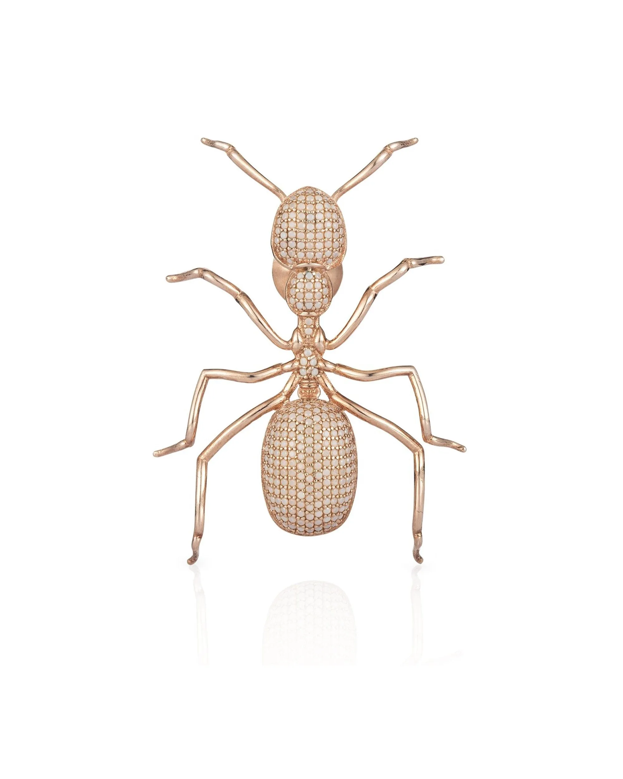 ANT BROOCH