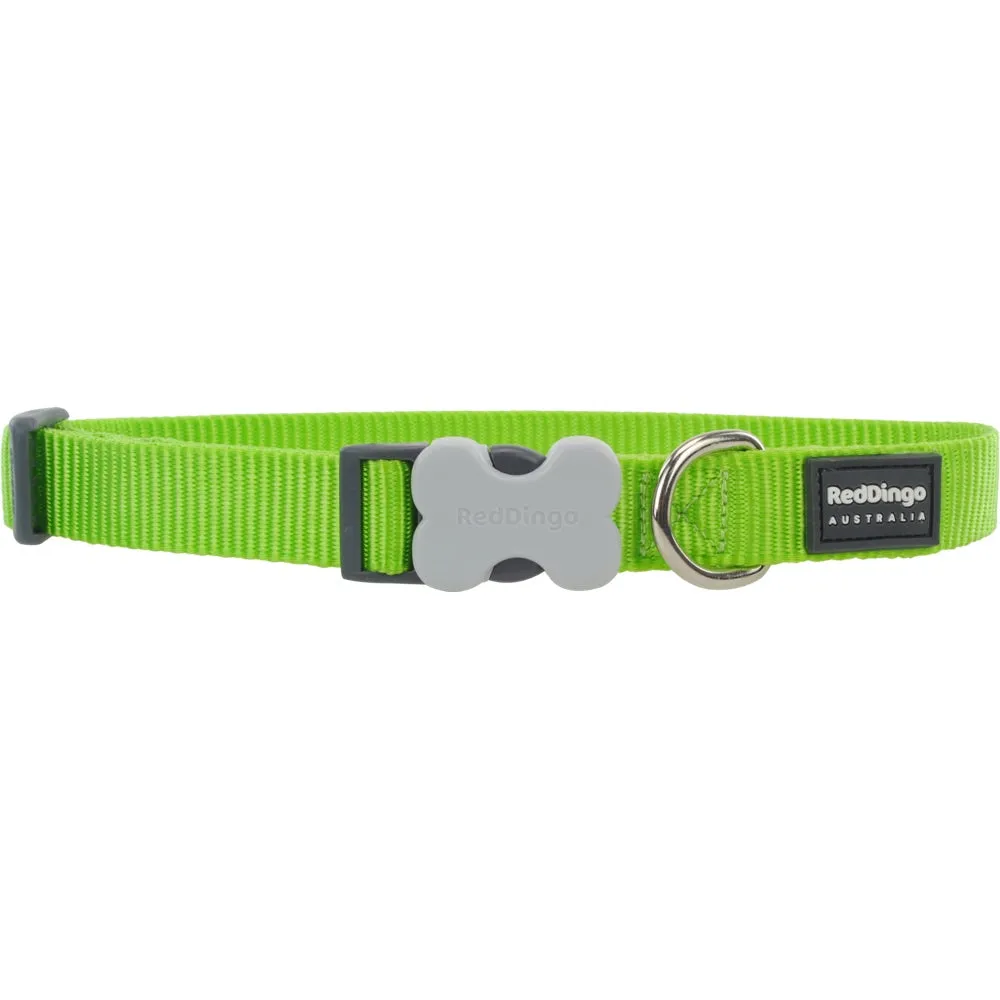 Red Dingo Classic Dog Collar 20mm