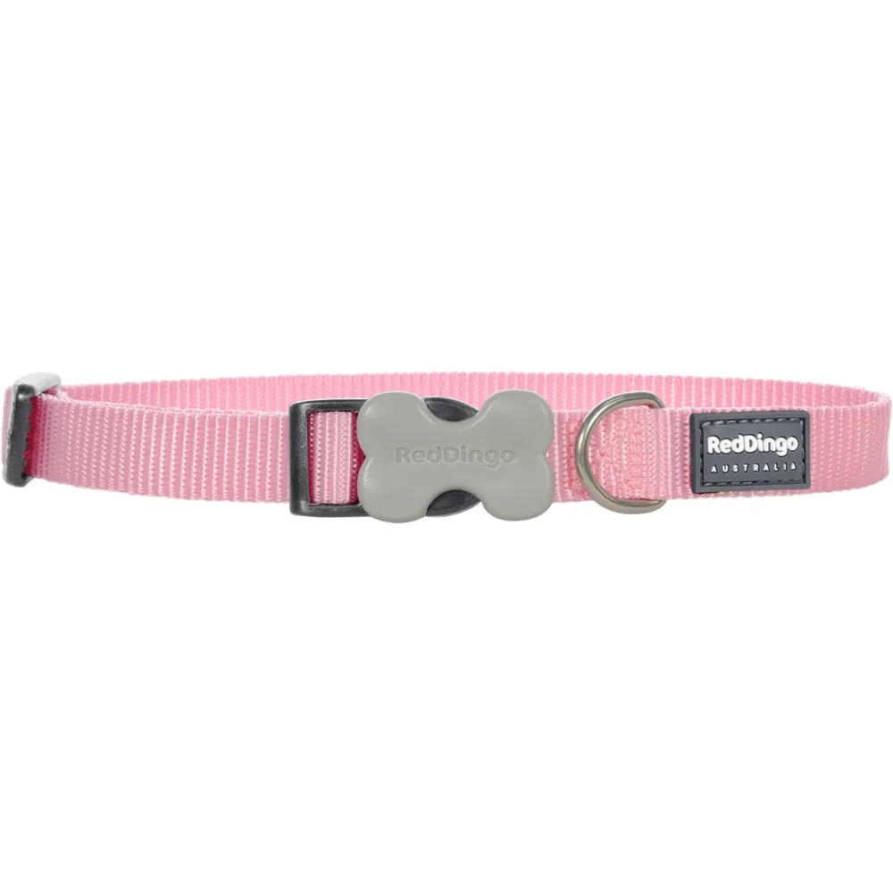 Red Dingo Classic Dog Collar 20mm