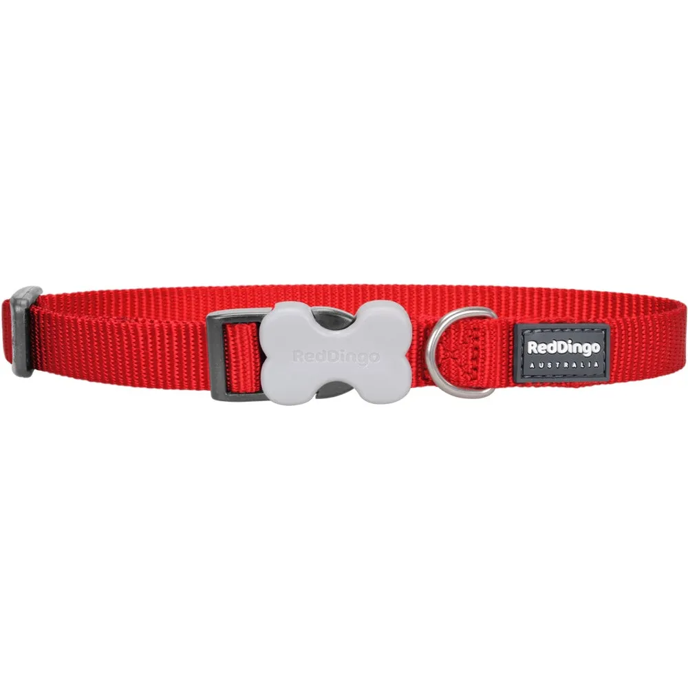 Red Dingo Classic Dog Collar 20mm