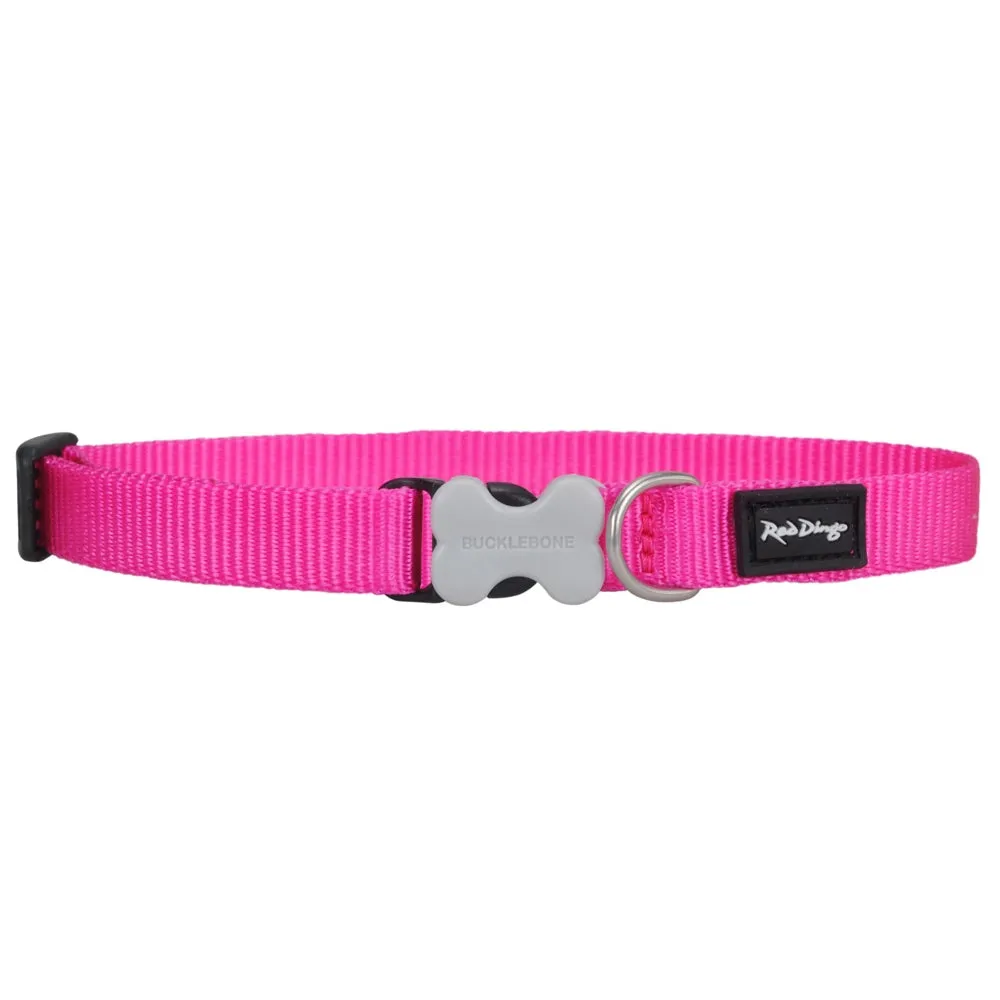 Red Dingo Classic Dog Collar 20mm