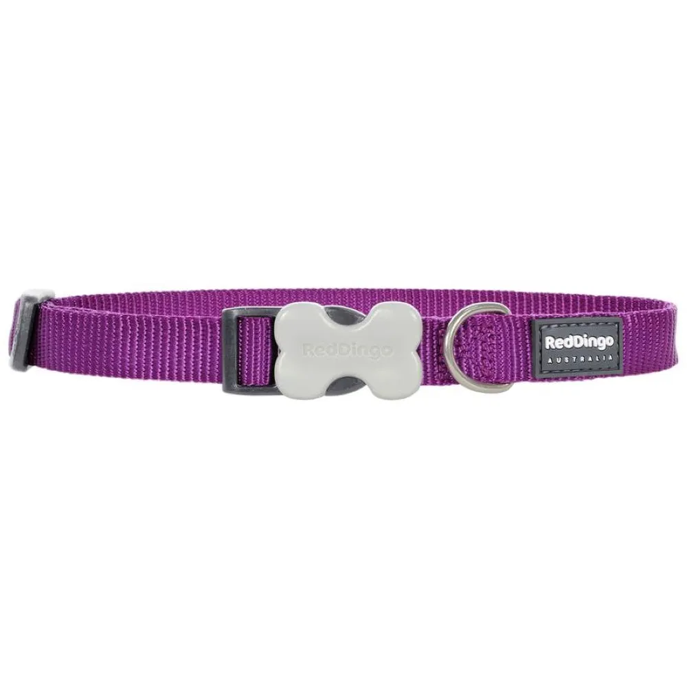 Red Dingo Classic Dog Collar 20mm